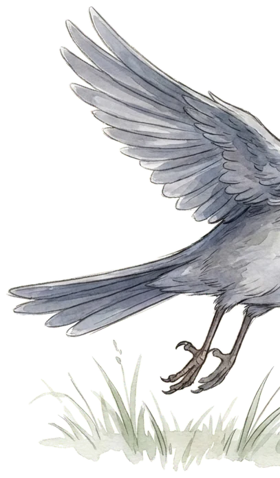 Der Versprechensvogel
