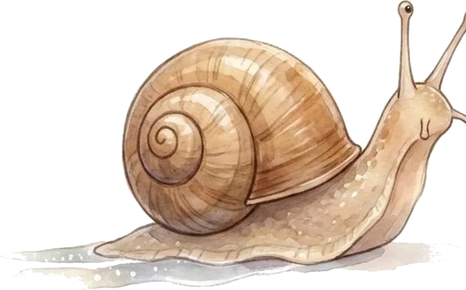 Die Rückwärtsschnecke